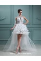 Organza Jewel Neckline Ball Gown Asymmetrical Wedding Dress
